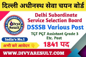 Delhi Subordinate Service Selection Board