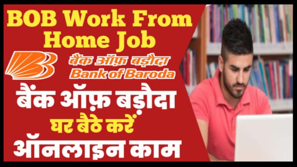 bank of baroda work from home job